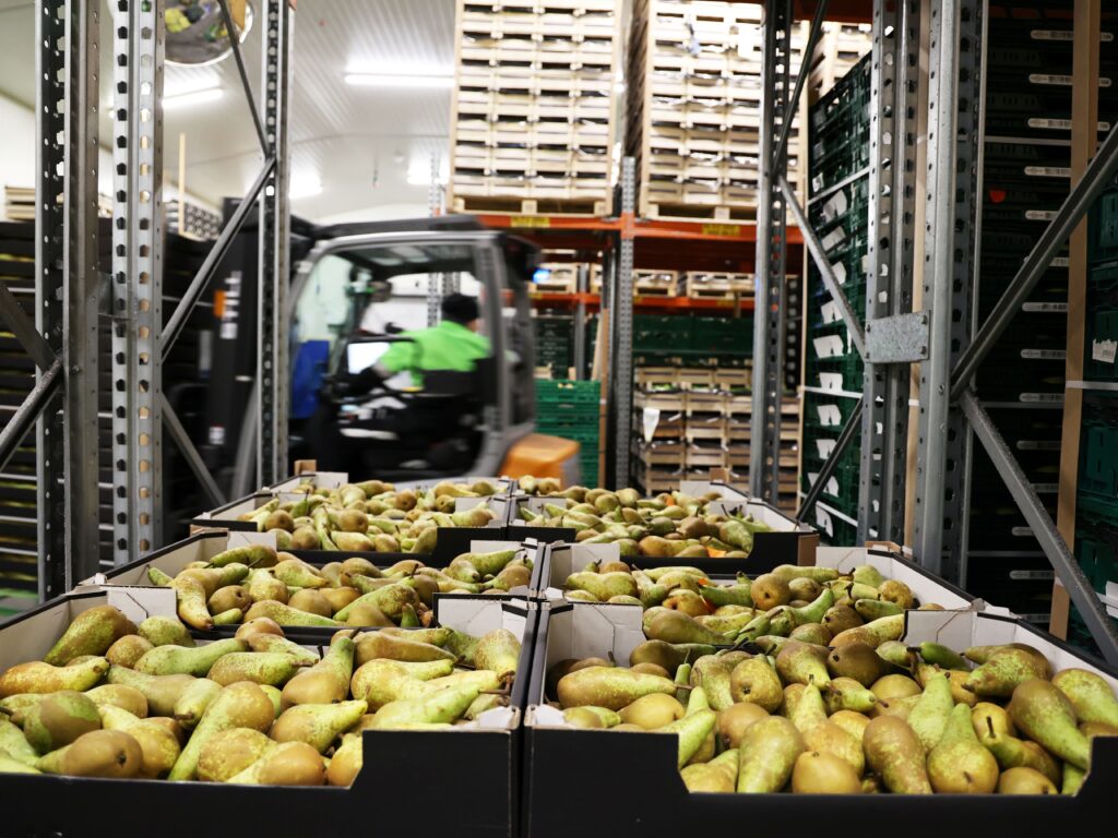Ultra-cold Fruit Storage Efficiency Boost