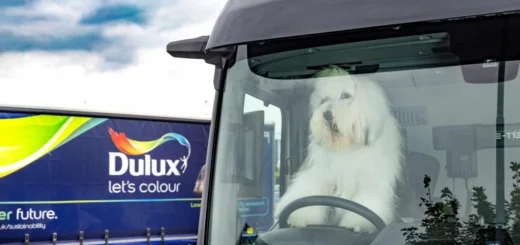 Dulux Paint Deploys Large-scale Electric HGVs