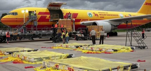 Extraordinary Global Freight Deliveries