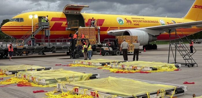 Extraordinary Global Freight Deliveries