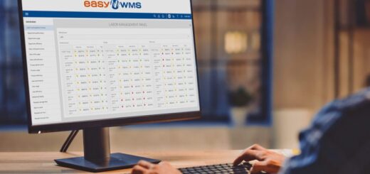 WMS Boosts Order and Dispatch Management