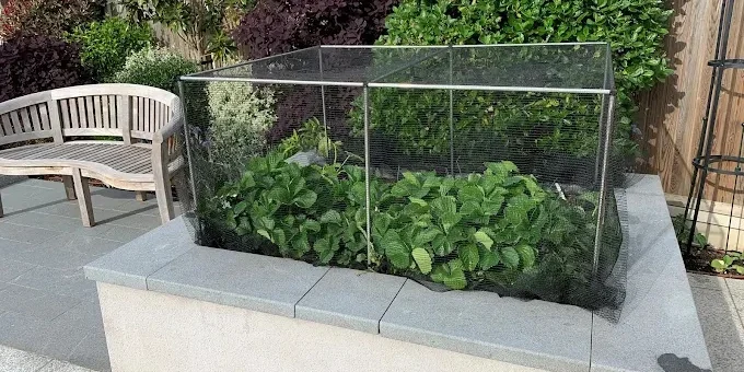 Ecommerce Retailer Boosts Order Fulfilment