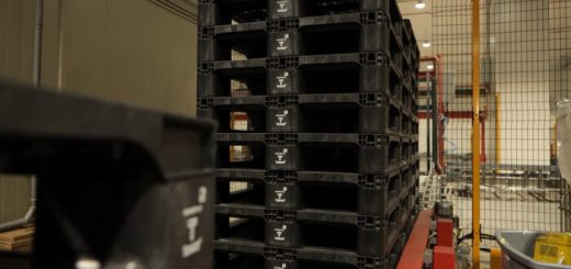 New Circular Pallet for Sustainable Logistics