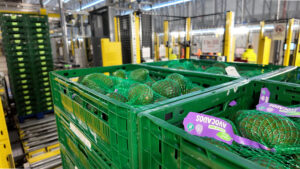 Bardon shows how automation can scale temperature-sensitive logistics