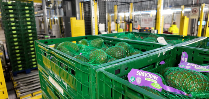Bardon shows how automation can scale temperature-sensitive logistics