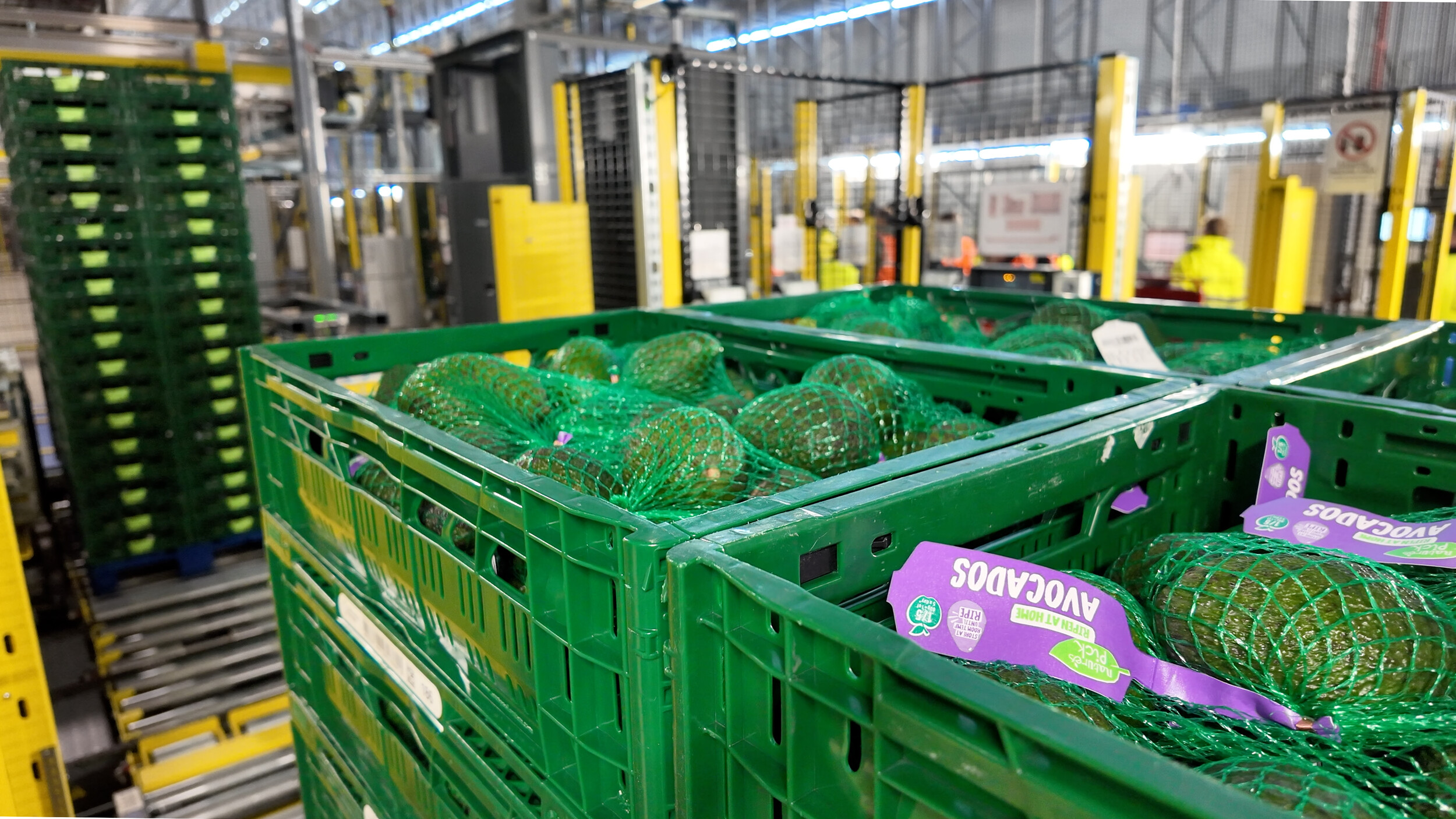 Bardon shows how automation can scale temperature-sensitive logistics