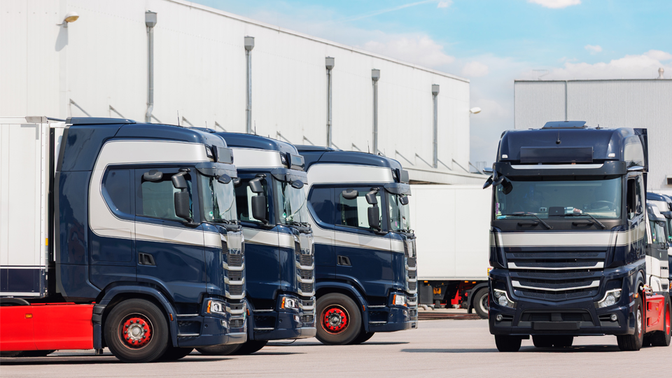 Digital networks give LSPs a route to resilient growth